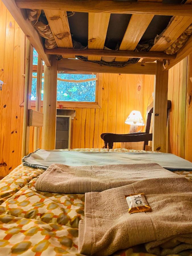 B&B Casa Nomada San Martín de los Andes Eksteriør billede